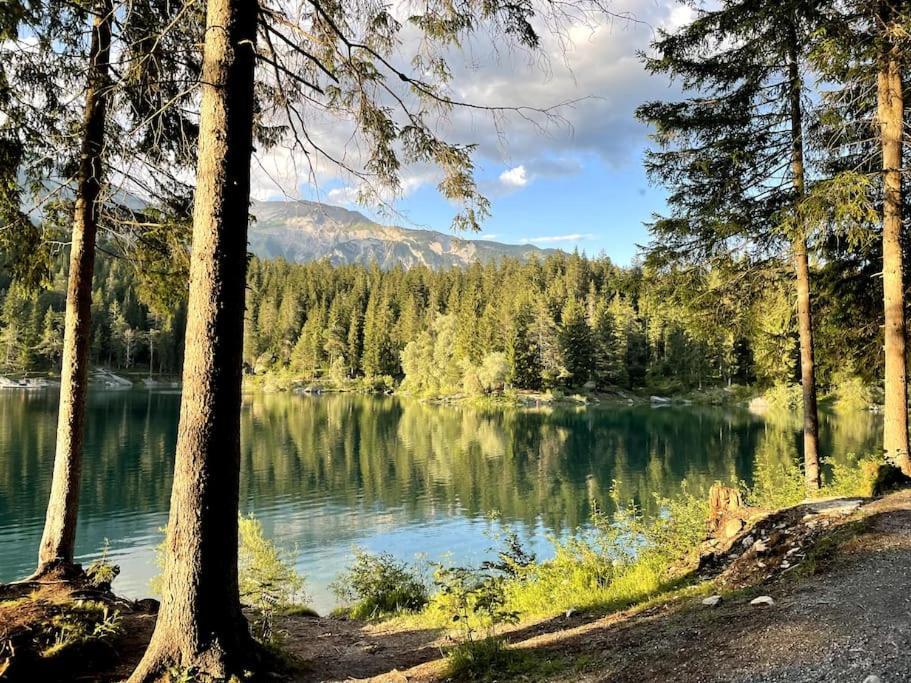 Swiss Chalet Near Flims Trin Экстерьер фото