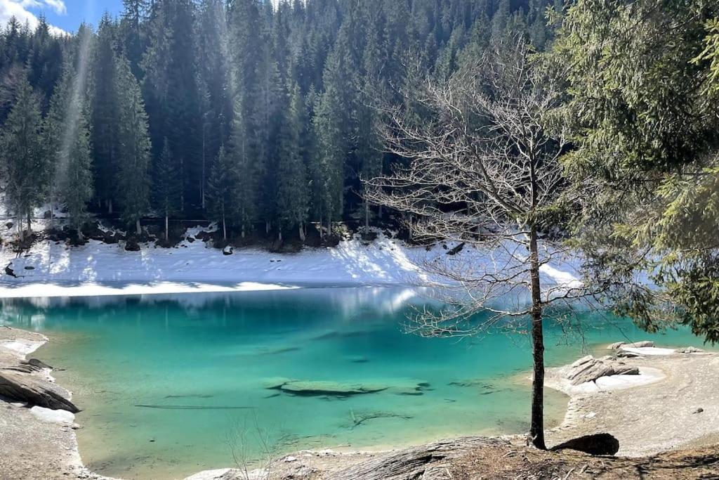 Swiss Chalet Near Flims Trin Экстерьер фото